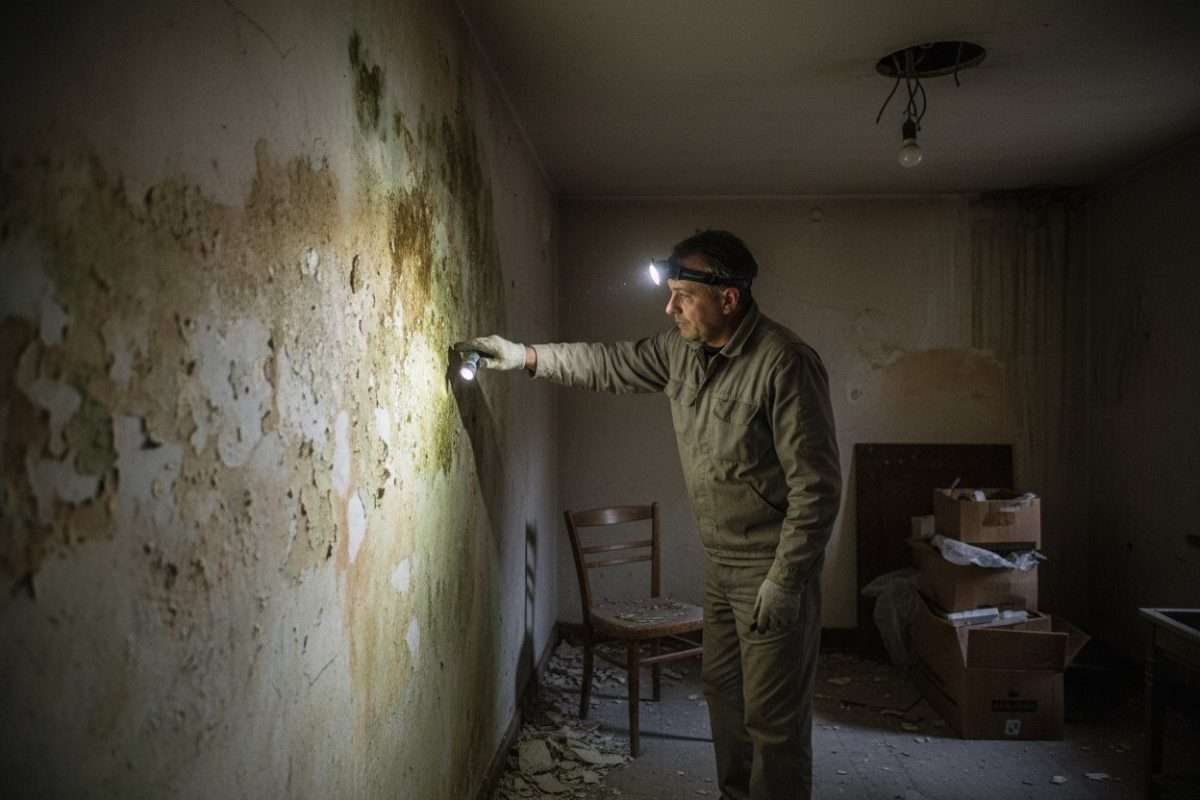 Odeur nauséabonde dans vos murs : causes et solutions